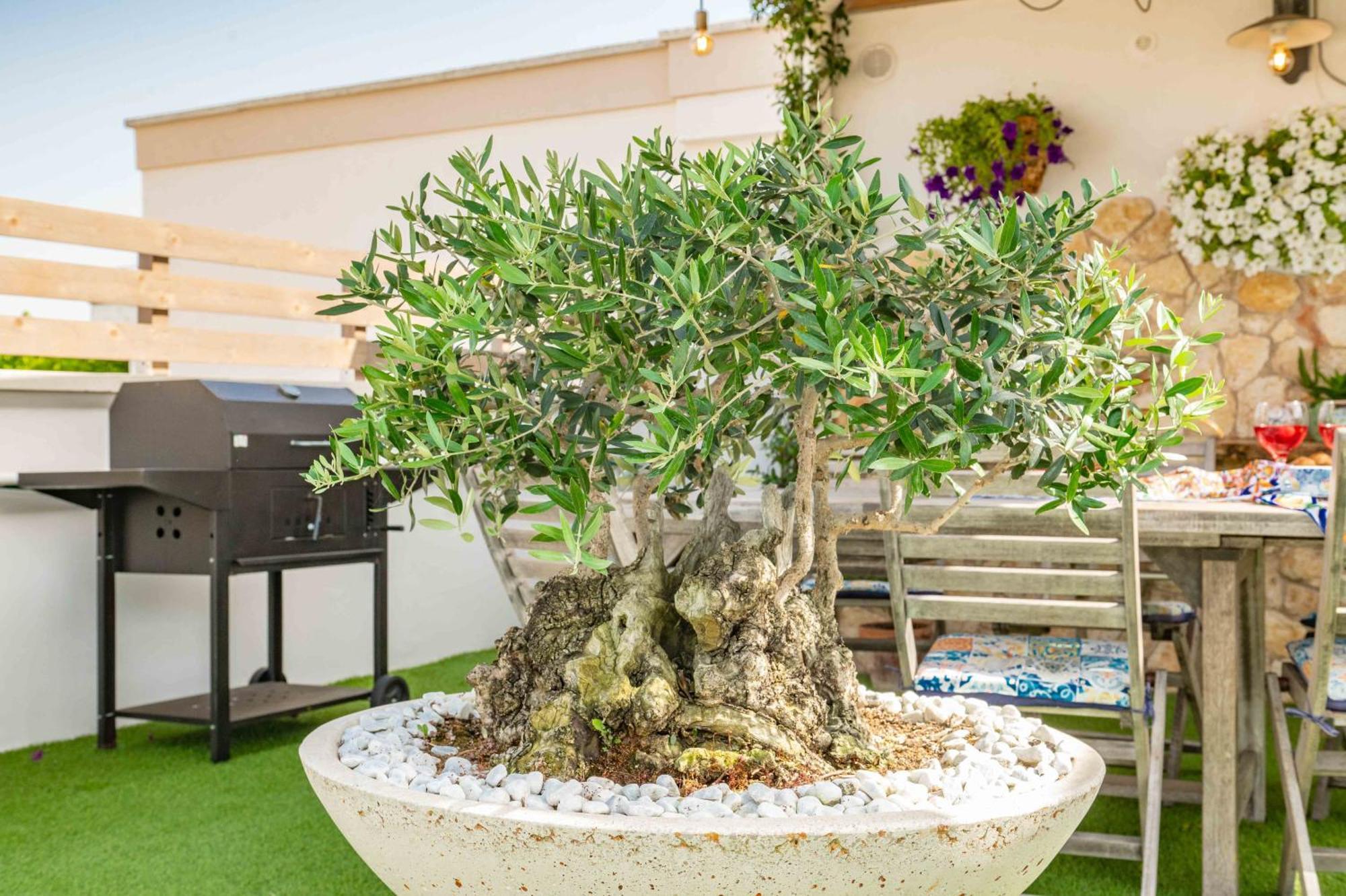 فيلا Il Panoramico Neviano المظهر الخارجي الصورة